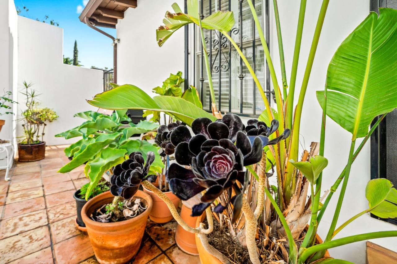 Hollywood Hills Homestay Los Angeles Esterno foto